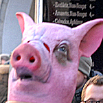 fasching 2010 viktualienmarkt marienplatz m&uuml;nchen_4992